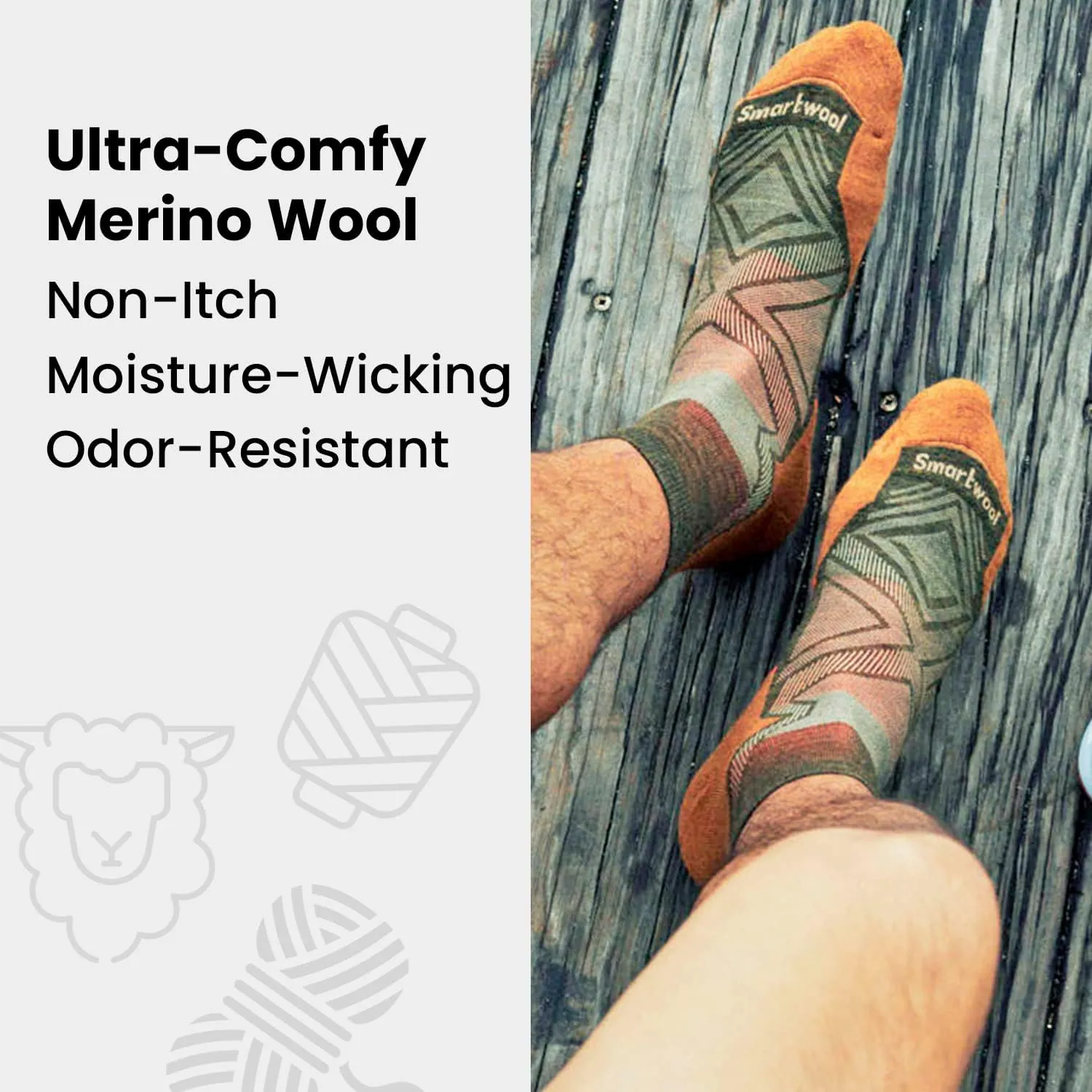 Smartwool Everyday Cushion No Show